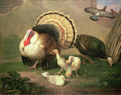 Turkeys by Johan Wenzel Peter